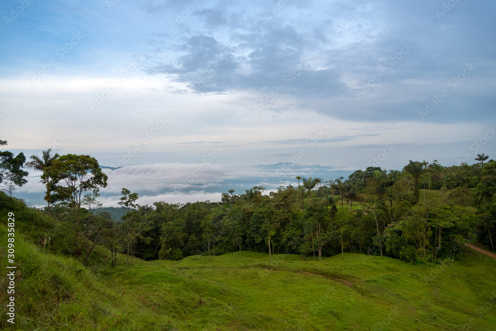 Landscape with tropical forest and fog between mountain. Colombia.