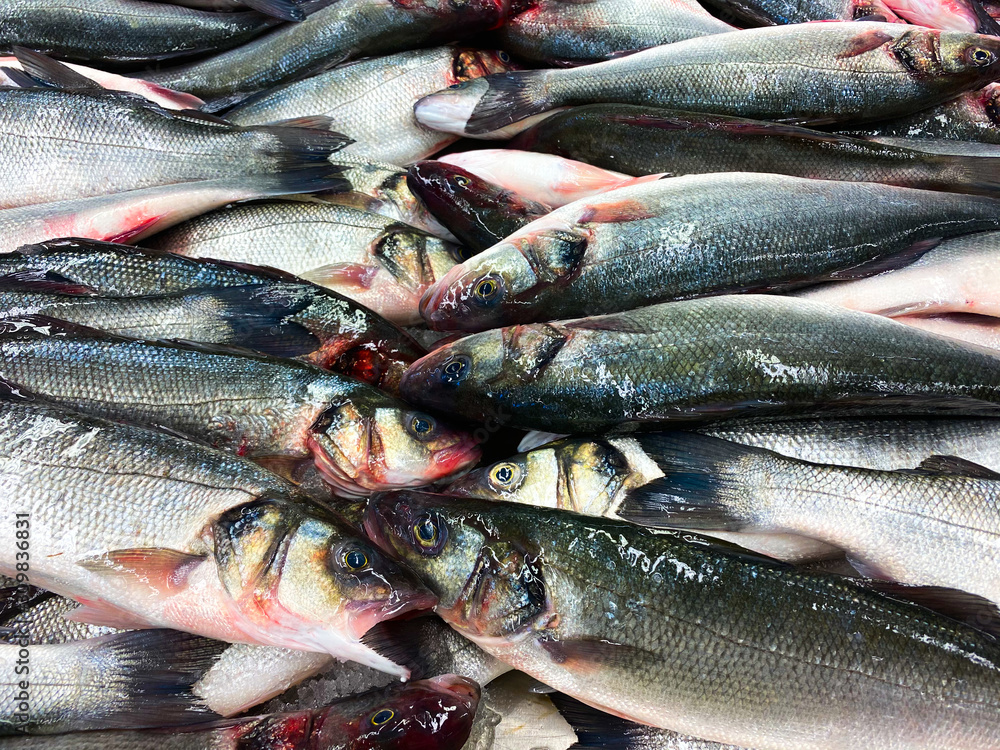 Fish lies on a catch. Background of fresh fish. Fish lies on a catch. Background of fresh fish.