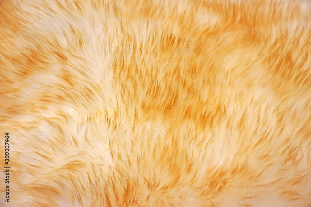 Fototapeta premium Natural texture of the wool