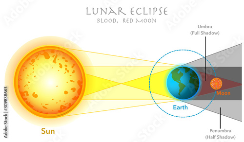 Lunar eclipse. Blank white background. Annotated. Moon eclipse occurs when earth crosses between the moon and the sun, which casts a shadow of earth onto the moon.   Educational Physics Geo Vector