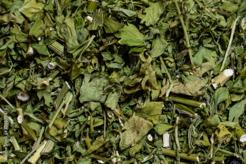 Green dried spices, leaves and stems