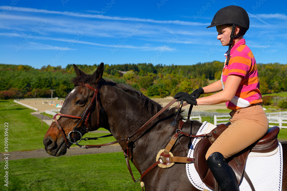 Young female rider mounted on a bay thoroughbred gelding horse going to training ring Young female rider mounted on a bay thoroughbred gelding horse going to training ring