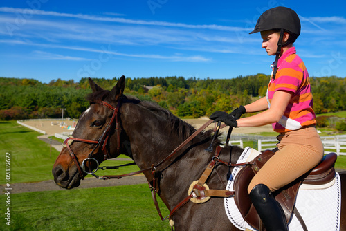 Young female rider mounted on a bay thoroughbred gelding horse going to training ring © Reimar