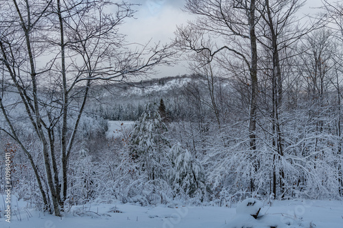 Wallpaper Mural Palmerston Lake view winter snow covered landscape Torontodigital.ca