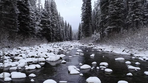 River in the cold of winter flows between the trees of a tall forest with snow