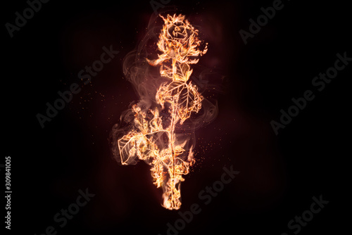 Rose in flames/burning rose on fire is on the black background. Happy Valentine's Day