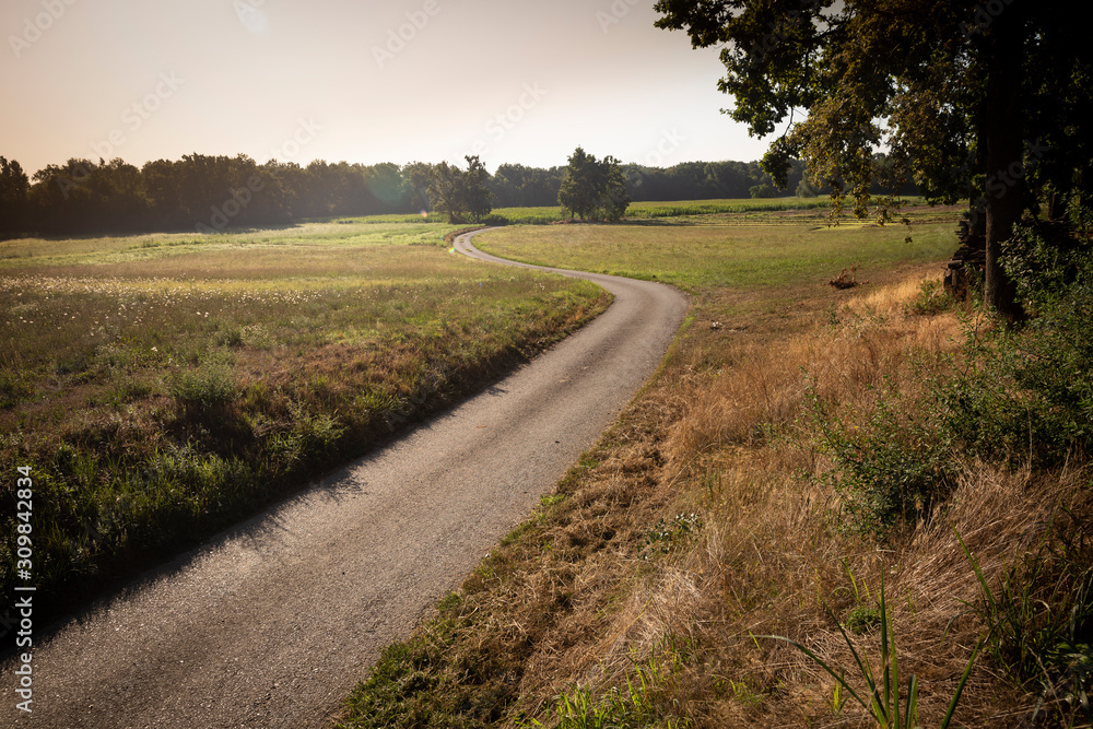 a country road through green fields next to Maiole village (Cavaglia), Province of Biella, Piedmont region, Italy a country road through green fields next to Maiole village (Cavaglia), Province of Biella, Piedmont region, Italy