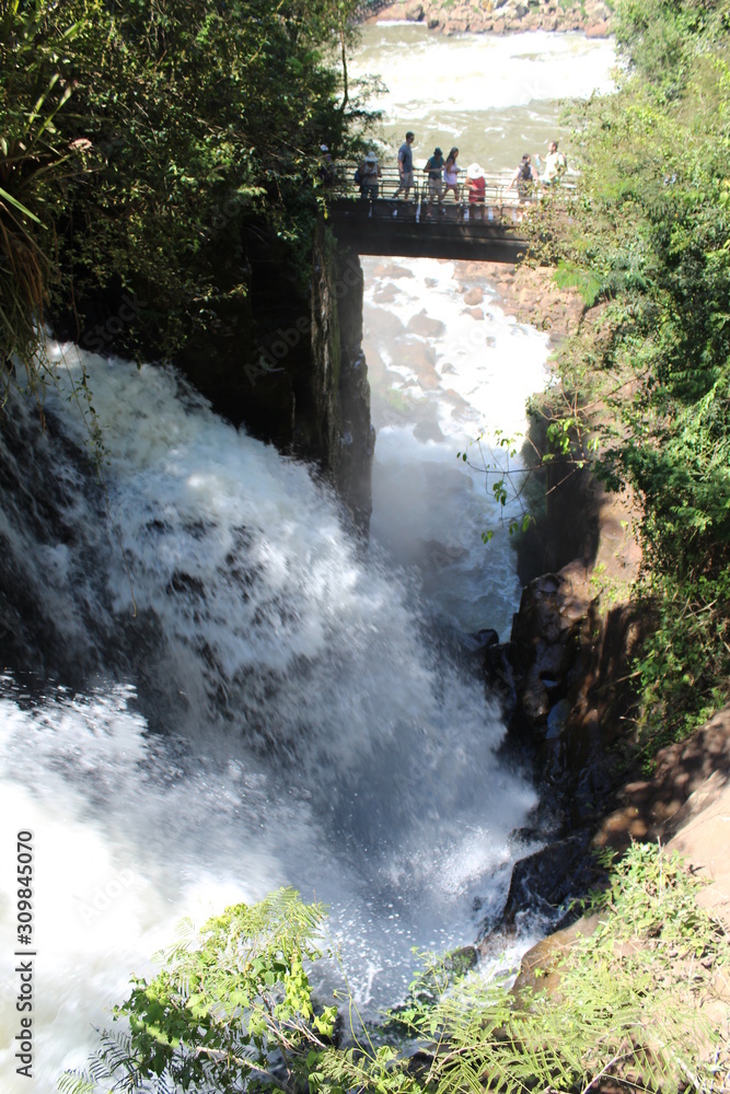 Fototapeta premium waterfall in forest