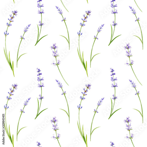 Watercolor seamless pattern of lavender flowers on a white background. © Dasha