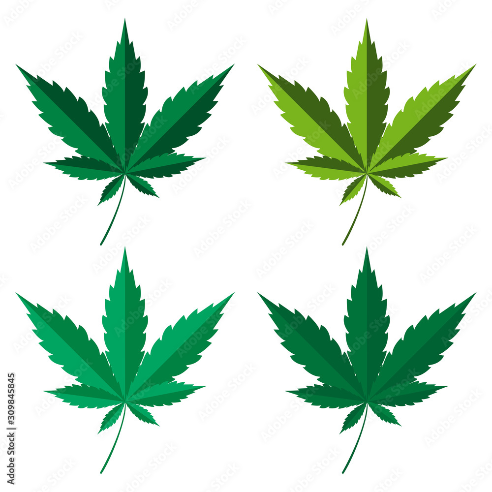 illustrations of cannabis and marijuana. Collection of marijuana and cannabis medical medicines vector