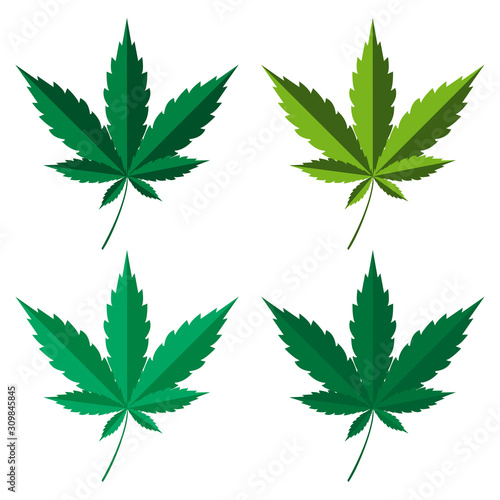 illustrations of cannabis and marijuana. Collection of marijuana and cannabis medical medicines vector