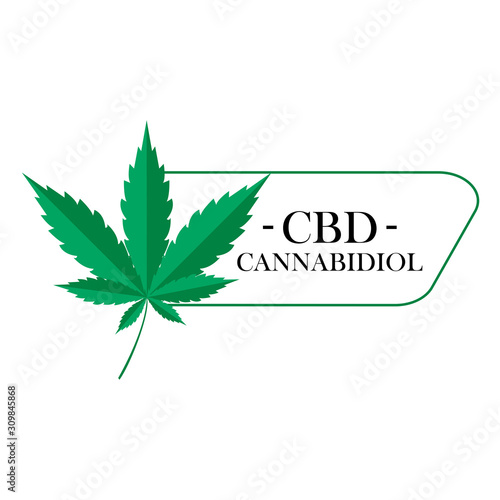 illustrations of cannabis and marijuana. Collection of marijuana and cannabis medical medicines vector