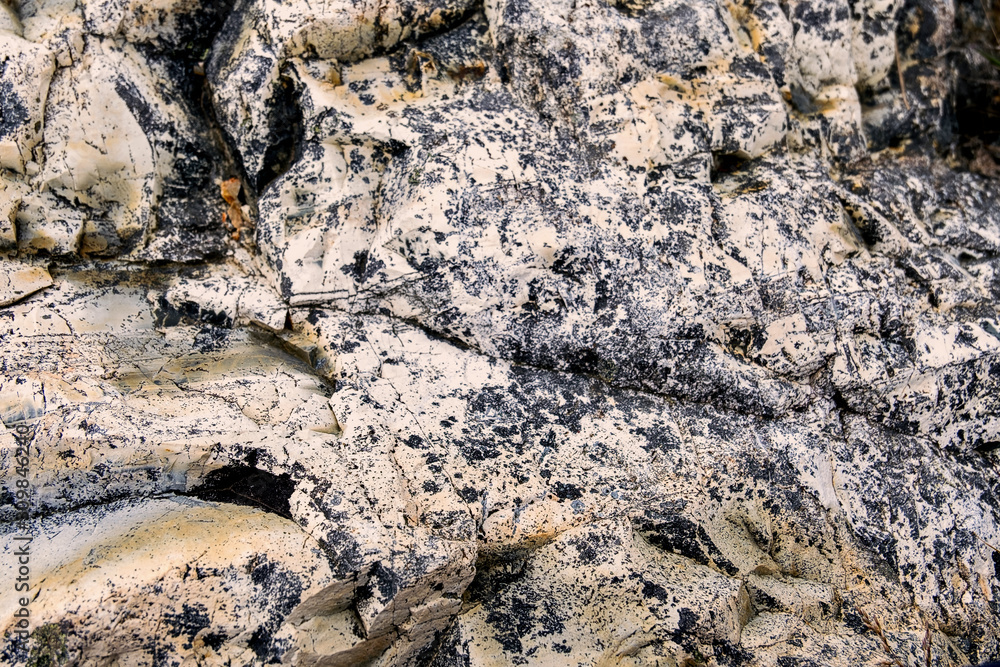 A rock on Newfoundland coast line in Canada. A rock on Newfoundland coast line in Canada.