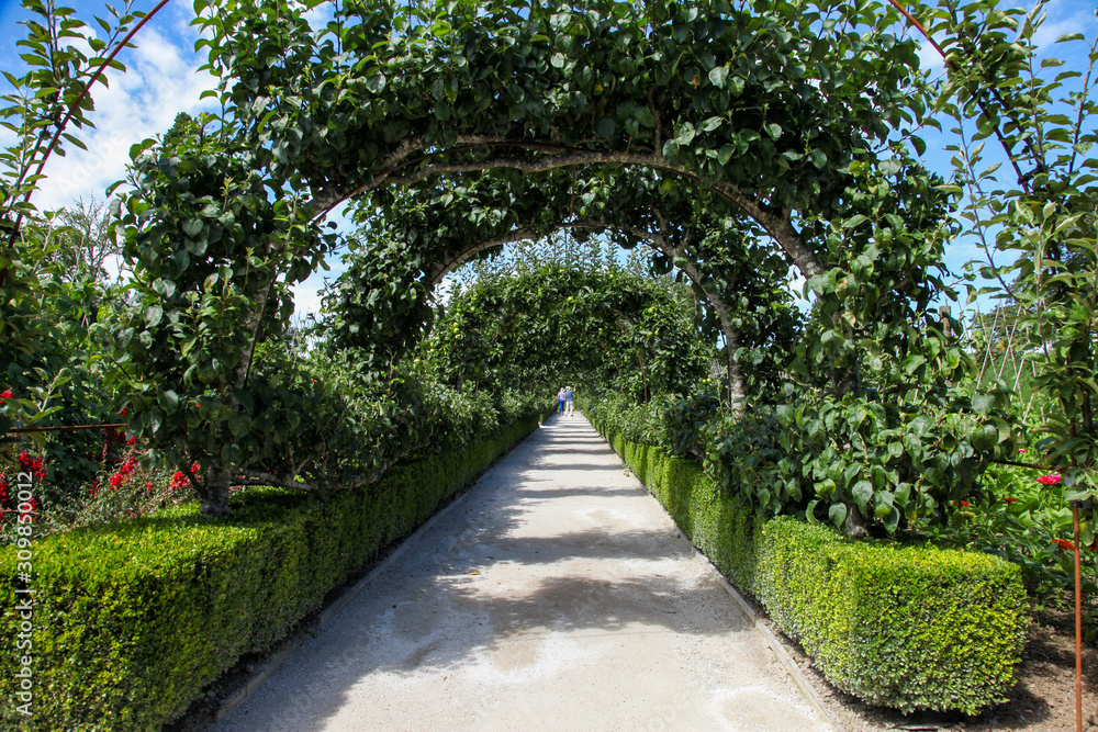 Path with a natural archway
