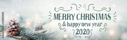 Merry Christmas and Happy New Year 2020  -  Christmas congratulations card -  Pine cone in snow landscape with magic lights  -  Banner, header
