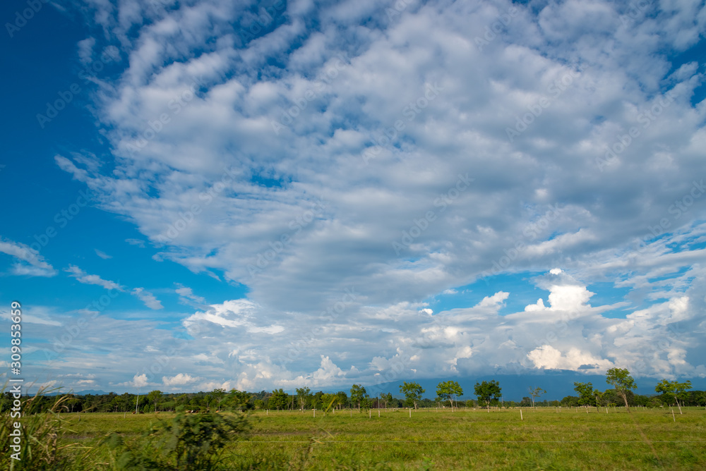 Obraz premium Country landscape with sunny day and blue sky with clouds in Colombia