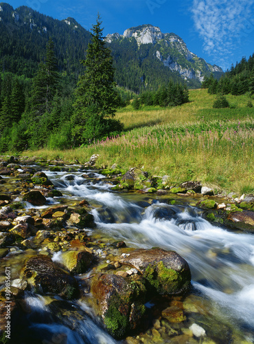 Fototapeta Naklejka Na Ścianę i Meble -  Koscieliska Valley, Tatry National Park