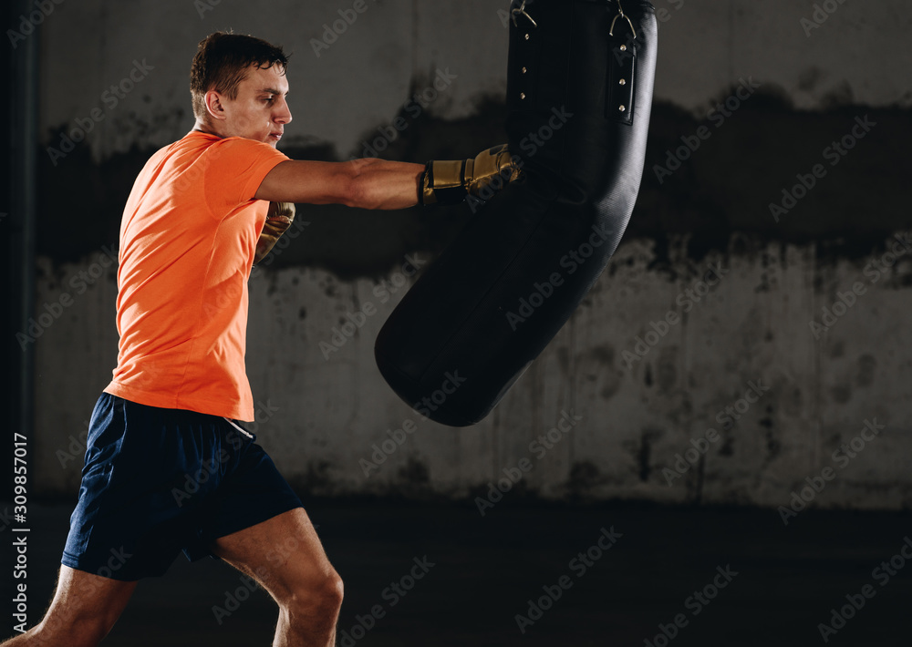 Young caucasian Boxer training with a punching bag in his home gym Young caucasian Boxer training with a punching bag in his home gym