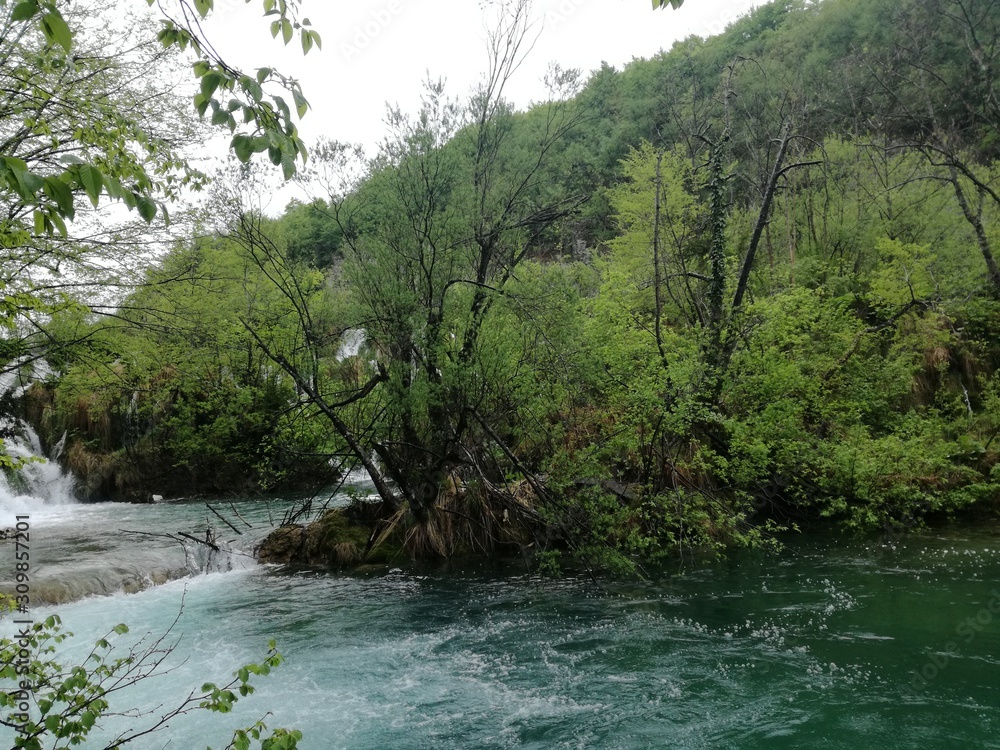 Naklejka premium Waterfal, lake, cascades, canyon and wooden bridge in Plitvice Lakes National Park, one of the oldest and largest national parks in Croatia, ex Yugoslavia