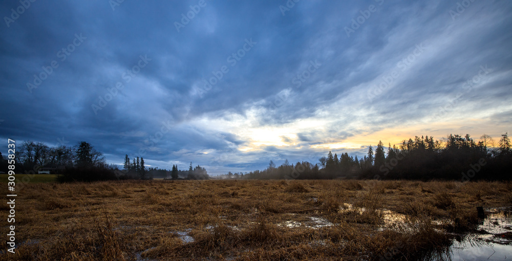 Wide angle view of fog rolling in above marsh on a cold fall morning