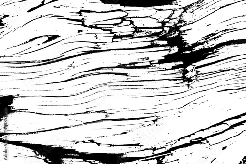 Distressed overlay texture of rough surface, old tree stump with cracks, rings on tree. Grunge background. One color graphic resource.