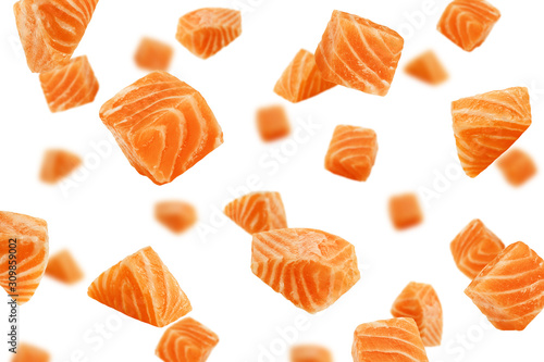 Falling raw salmon, fish isolated on white background, selective focus