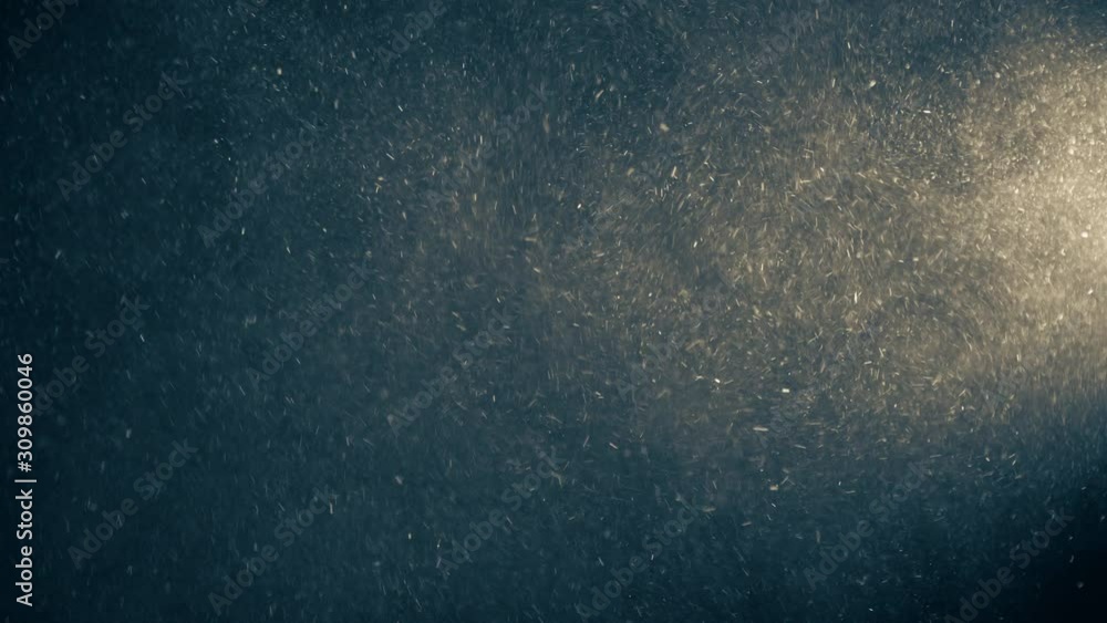 Natural Organic Dust Particles Floating On Black Background. Glittering Sparkling Particles Randomly Spin In The Air With Bokeh. Dynamic Particles With Fast And Slow Motion. Shimmering Dust In Space. Natural Organic Dust Particles Floating On Black Background. Glittering Sparkling Particles Randomly Spin In The Air With Bokeh. Dynamic Particles With Fast And Slow Motion. Shimmering Dust In Space.