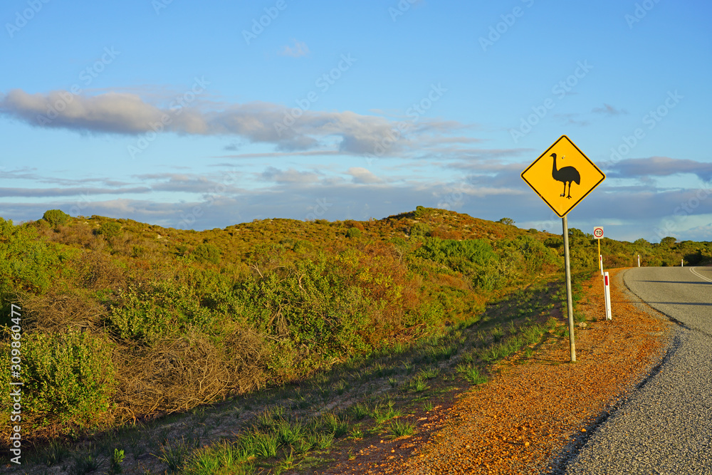 Yellow road sign signaling danger about Emus crossing in Australia Yellow road sign signaling danger about Emus crossing in Australia