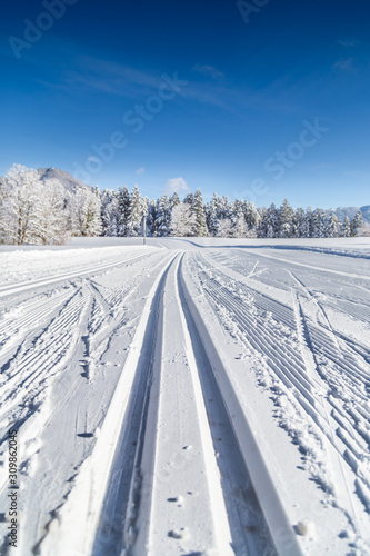 Obraz na płótnie Cross-country skiing track in winter landscape w salonie