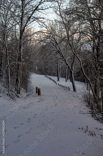 Wintery lane for a walk