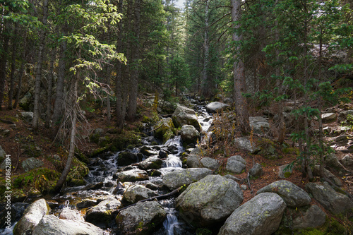 A lovely mountain stream skips down the rocks through a dense forest. © Moment of Perception