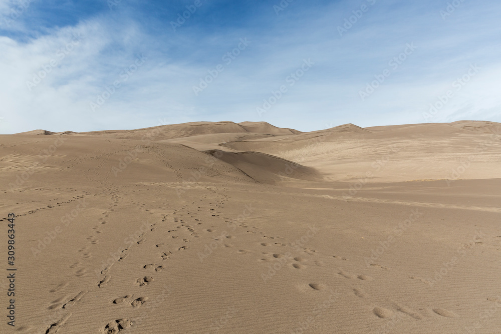 Landscape view of dunes at Great Sand Dunes National Park in Colorado, the tallest sand dunes in North America.