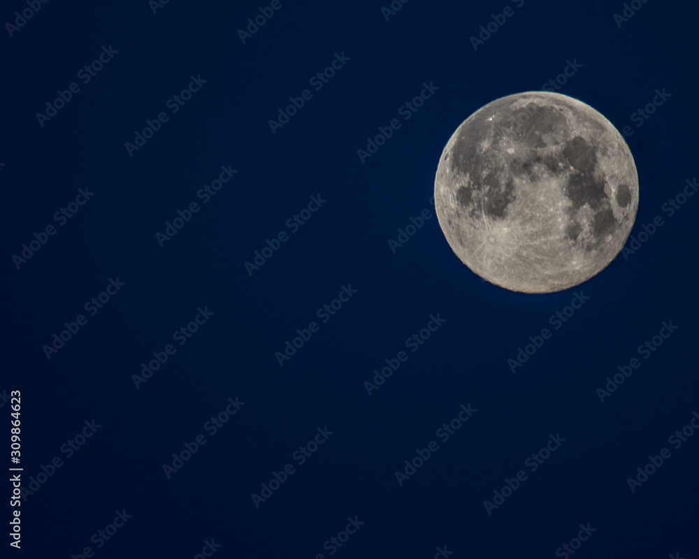 moon moon