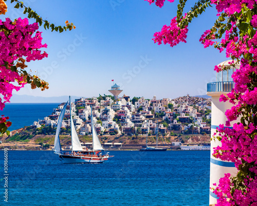 Fényképezés Beautiful pink and purple flowers frame a sea view in Ortakent, Bodrum, Turkey