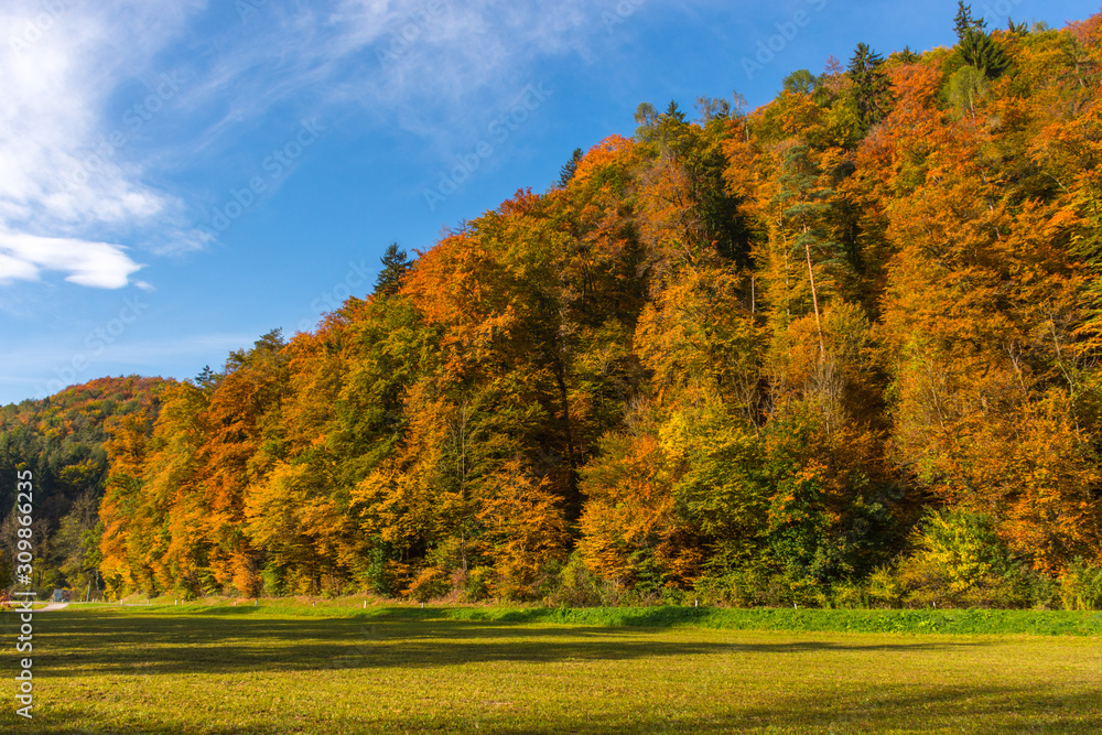 Hill with colorful trees in autumn 