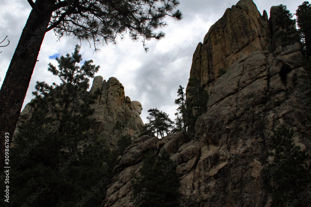 Mount Rushmore rock formations and pines