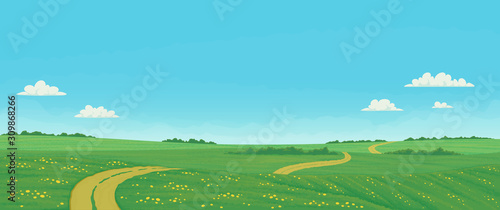 Summer landscape with rural dirt road running through green fields with wildflowers and windbreaks with bright blue sky and clouds. Vector illustration, country background, farming banner.