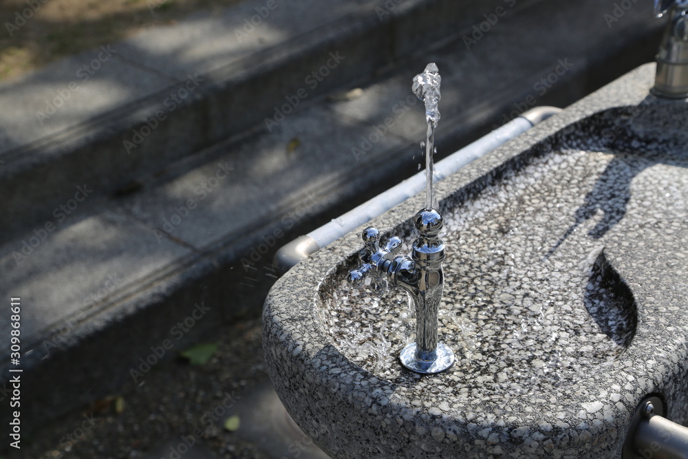 蛇口 公園 水 蛇口 公園 水
