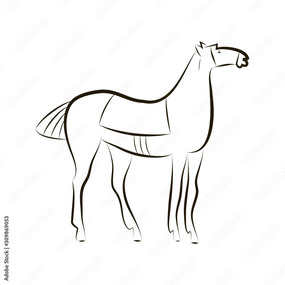 Obraz premium Black and white vector outline of a standing horse