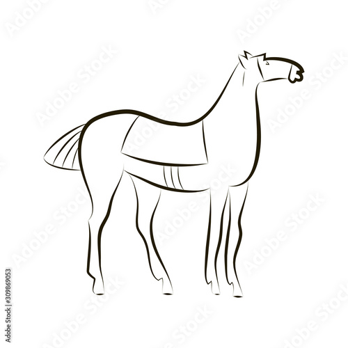 Black and white vector outline of a standing horse