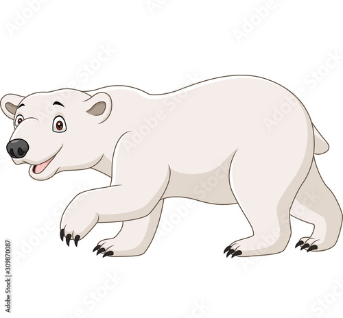Cartoon polar bear isolated on white background