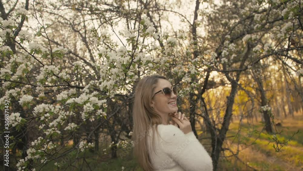 Attractive young woman in sweater, jeans is dance and spinning among blossom apple tree. Sunset, spring orchard and green field. Slow motion. Caucasian one girl, long fluttering hair. Sun glasses. Attractive young woman in sweater, jeans is dance and spinning among blossom apple tree. Sunset, spring orchard and green field. Slow motion. Caucasian one girl, long fluttering hair. Sun glasses.