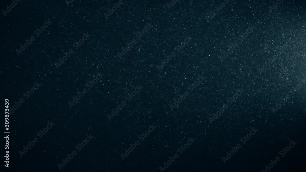 Natural Organic Dust Particles Floating On Black Background. Glittering Sparkling Particles Randomly Spin In The Air With Bokeh. Dynamic Particles With Fast And Slow Motion. Shimmering Dust In Space. Natural Organic Dust Particles Floating On Black Background. Glittering Sparkling Particles Randomly Spin In The Air With Bokeh. Dynamic Particles With Fast And Slow Motion. Shimmering Dust In Space.
