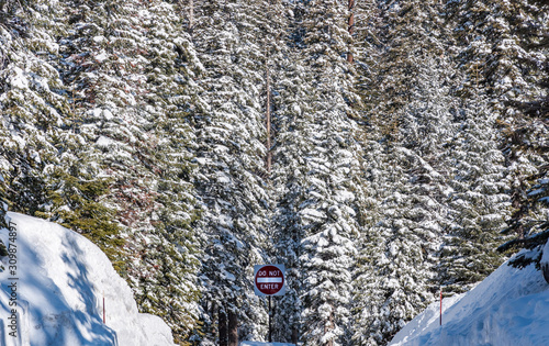 Winter forest background and Do not Enter sign in remote area of  Sequoia National Park in California, USA