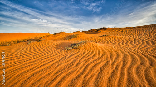 Desert sand dunes ripples, Sunset over the sand dunes in the desert.