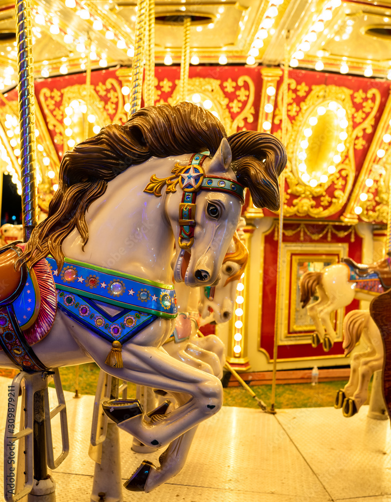 Horse from a Carousel