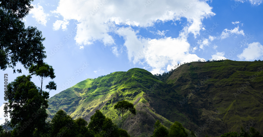 Stunning view of a green mountain range illuminated during a sunny day. Cemoro Lawang, east Java, Indonesia.