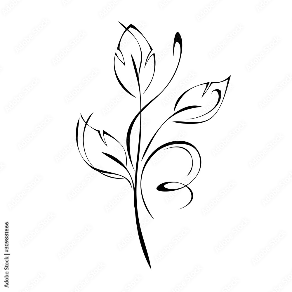 ornament 982. stylized twig with leaves and curls in black lines on a white background ornament 982. stylized twig with leaves and curls in black lines on a white background