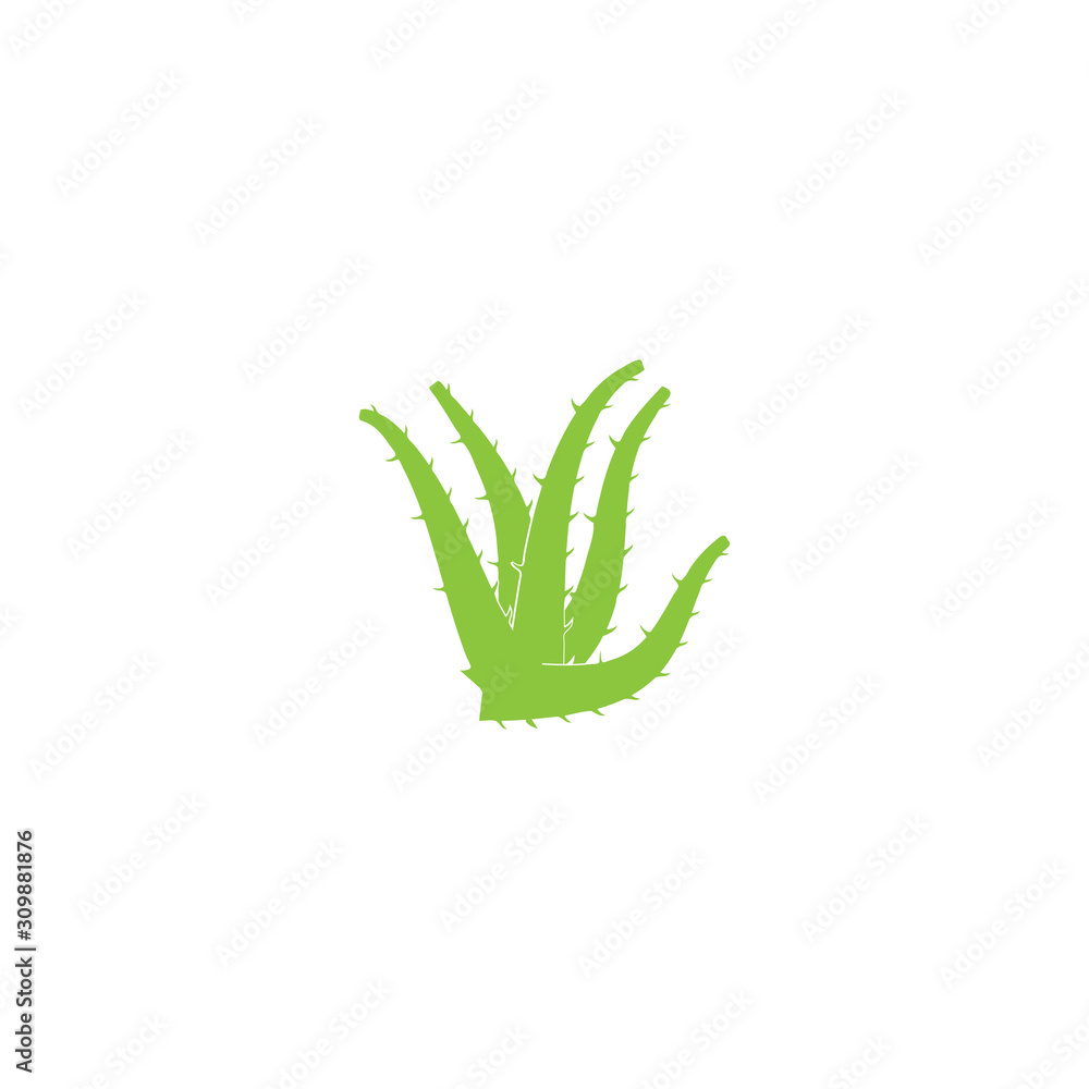 Obraz premium Aloe vera logo vector illustration template