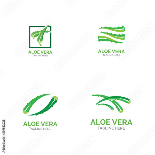 Aloe vera logo vector illustration template
